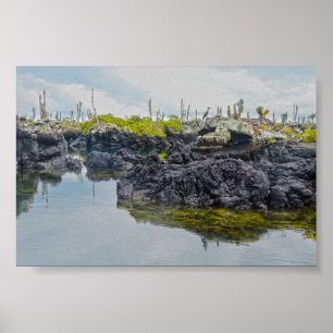 Poster Los Tuneles, îles Galapagos, Équateur