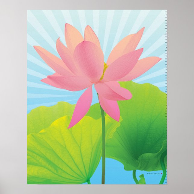 Poster Lotus (Devant)