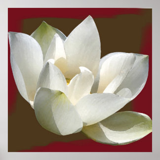 Poster lotus1