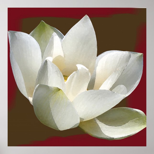 Poster lotus1 (Devant)