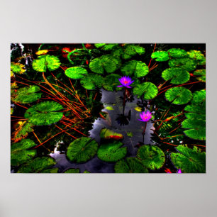 Poster Lotus 1