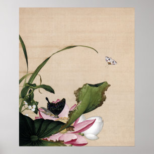 Poster Lotus et Arrowhead
