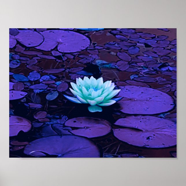Poster Lotus Fleur violet bleu Turquoise Floral Pond Zen (Devant)