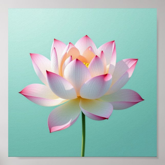 Poster Lotus Solitaire (Devant)