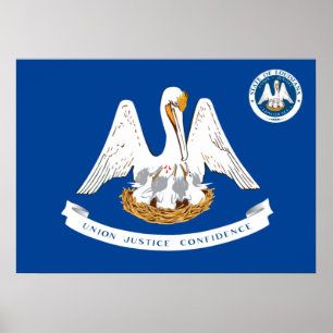 Poster Louisiana flag