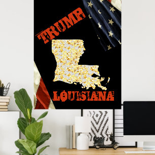 POSTER LOUISIANE 