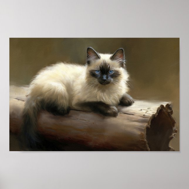 Poster Lounger Siamese Kitten (Devant)