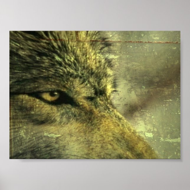 Poster Loup (Devant)