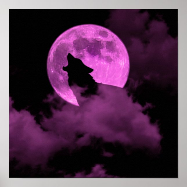 Poster loup (Devant)