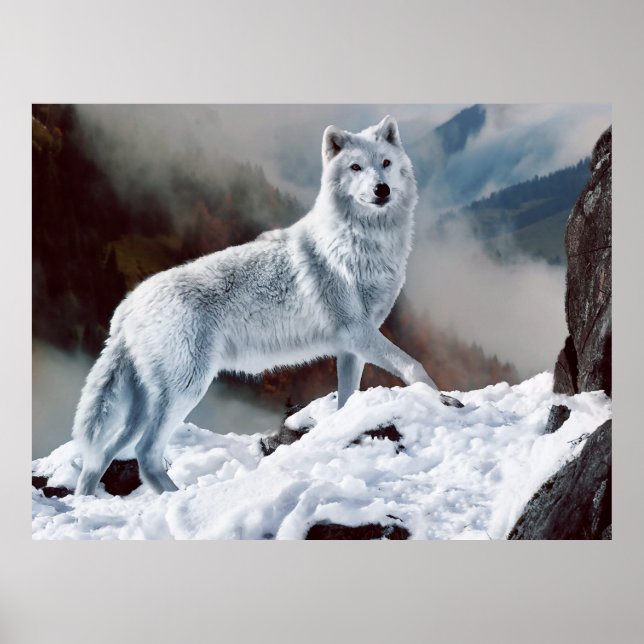 Poster Loup arctique (Devant)