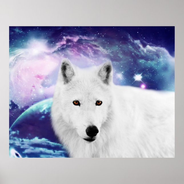 Poster Loup blanc (Devant)