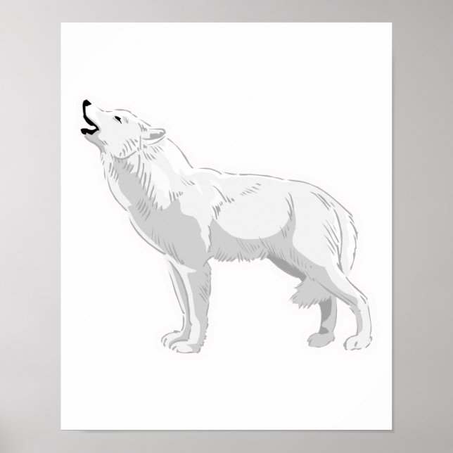 Poster loup blanc hurleur (Devant)