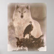 Loup d'aigle
