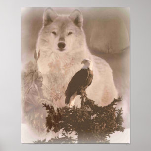 Poster Loup d'aigle