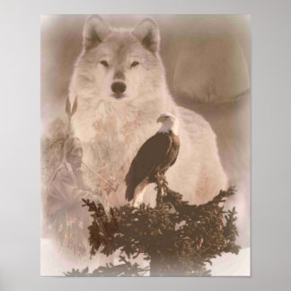 Poster Loup d'aigle
