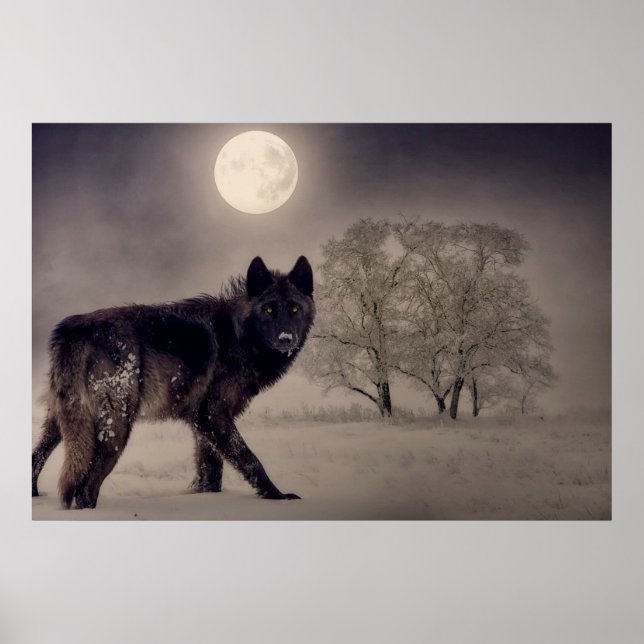 Poster Loup de Pleine lune. (Devant)