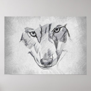 Poster Loup - Dessin Graphique