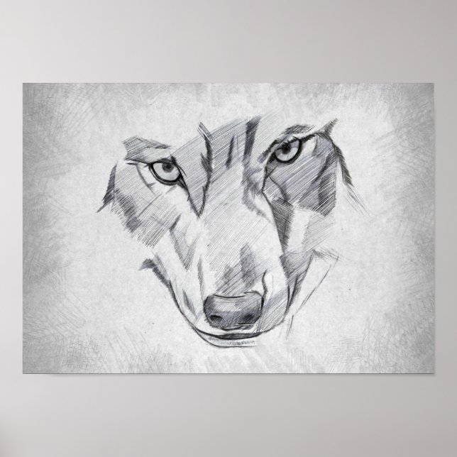 Poster Loup - Dessin Graphique (Devant)
