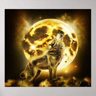 Poster Loup d'or