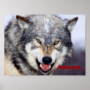 Poster loup en colère