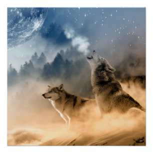 Poster Loup esthétique hurlant, vie sauvage