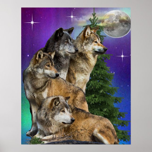 Poster loup et lune (Devant)