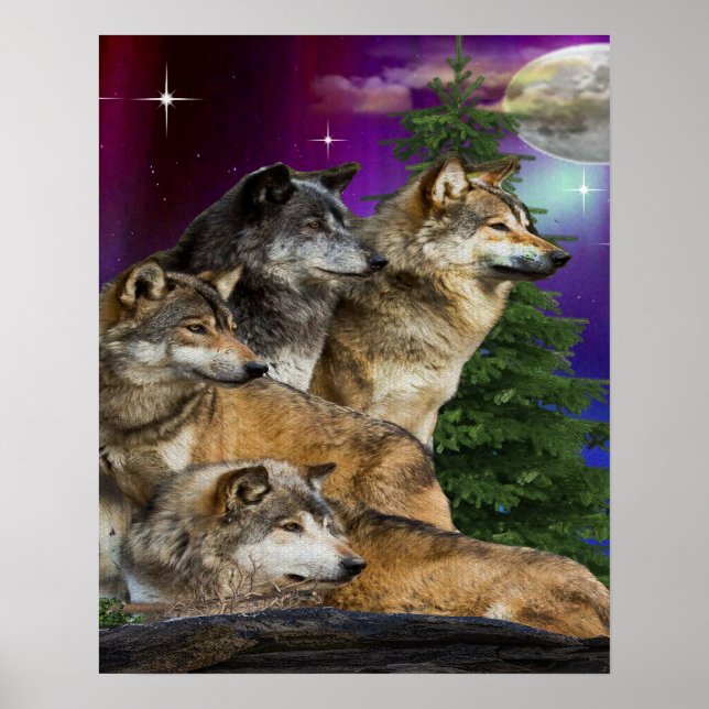 Poster Loup et lune (Devant)