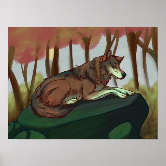 Poster Loup européen (Devant)