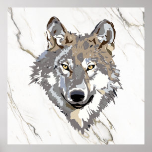 Poster Loup Gris Sur Marbre