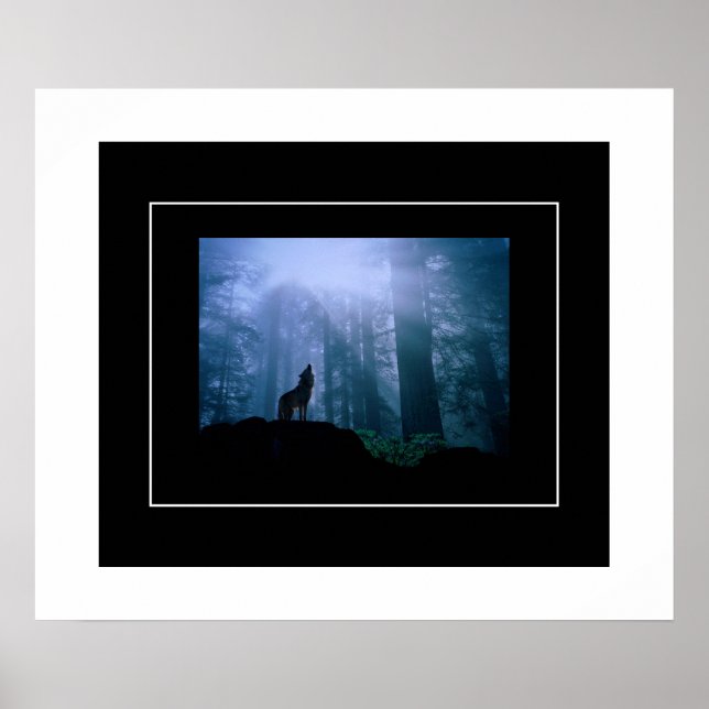 Poster Loup hurlant (Devant)