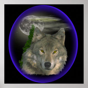 Poster loup la nuit