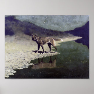 Poster Loup lunaire