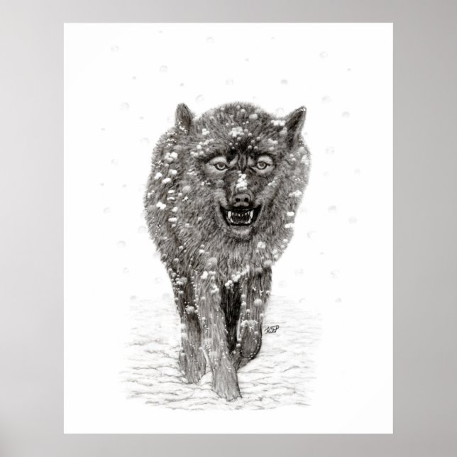 Poster Loup noir en colère dans la neige, hiver sauvage (Devant)