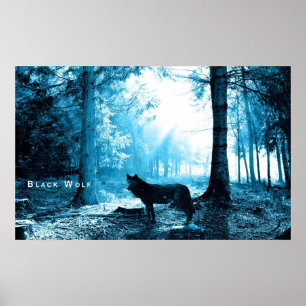 Poster Loup noir seul dans la forêt