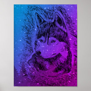 Poster Loup pourpre