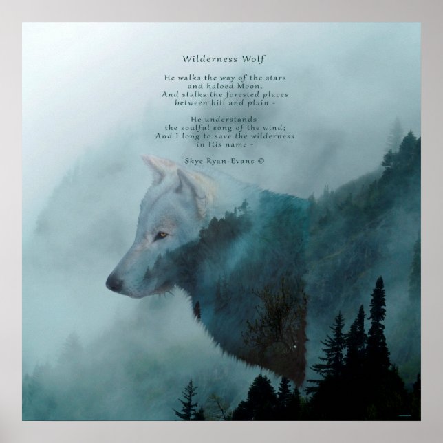 Poster Loup sauvage et poème (Devant)