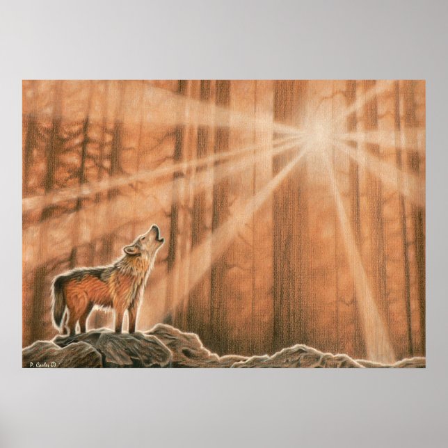 Poster Loup solitaire (Devant)