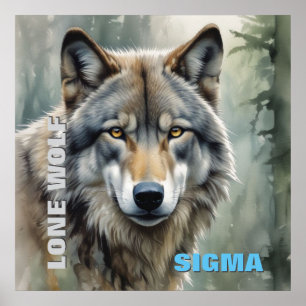 Poster Loup solitaire masculin de Sigma
