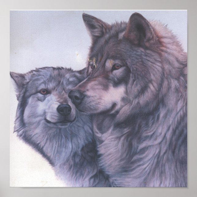 Poster loups (Devant)
