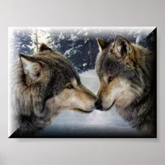 Poster Loups