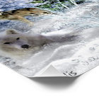 Loups en hiver Noël dans les bois