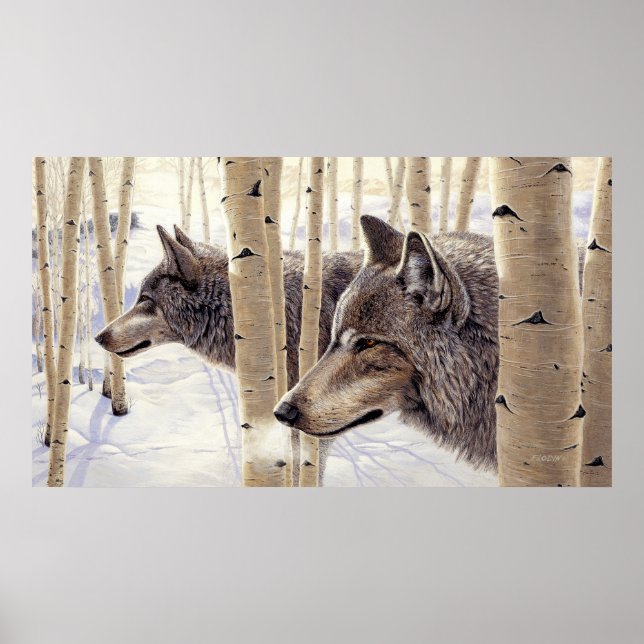 Poster Loups gris en peinture sur neige - (Devant)