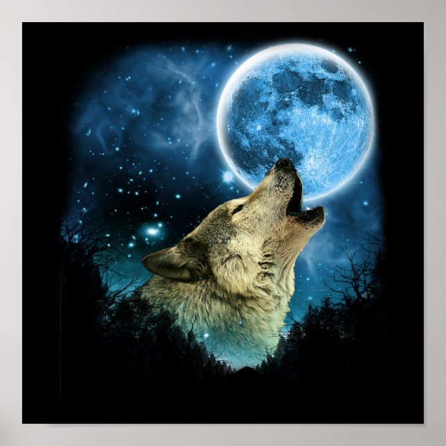 Poster Loups gris Skylight 2 (Devant)