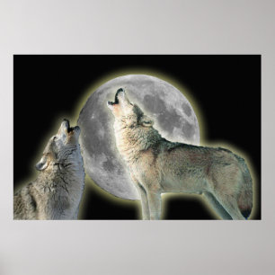 Poster Loups hurler sur la toile de lune Imprimer