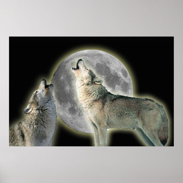 Poster Loups hurler sur la toile de lune Imprimer (Devant)