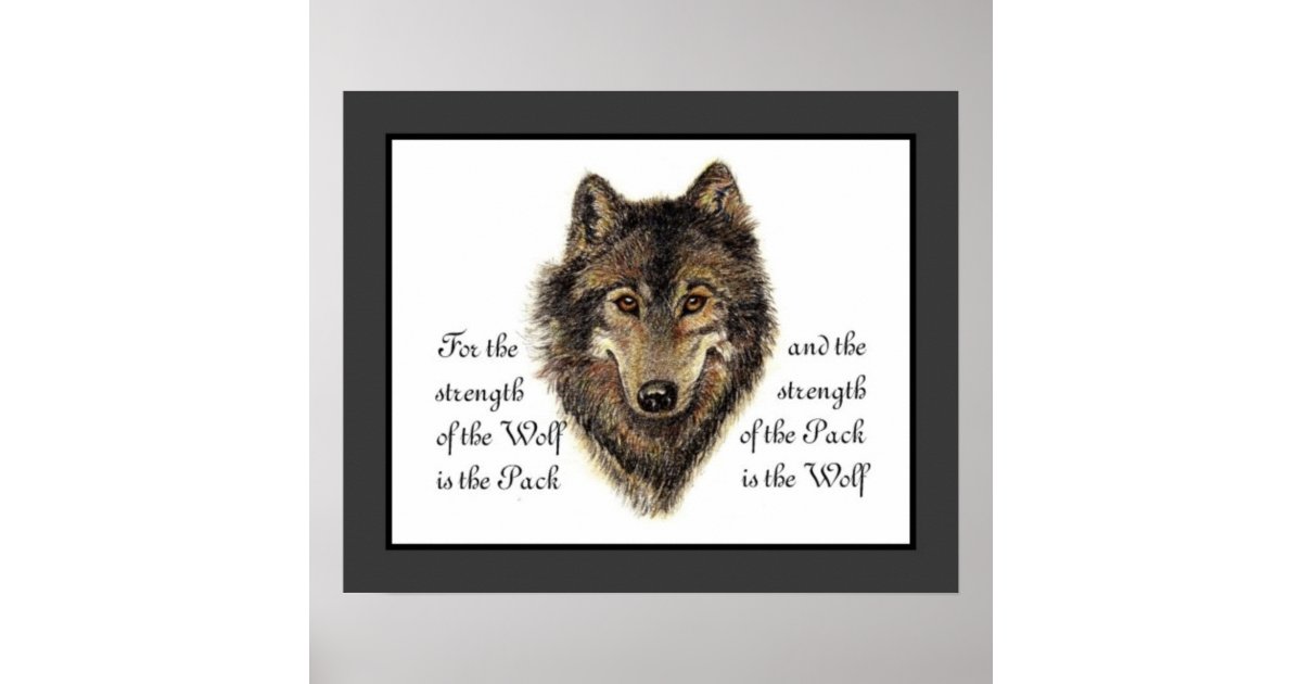 Poster Loups Loup D Aquarelle Et Citation De Paquet Zazzle Ca