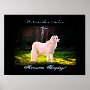 Poster Love Maremma