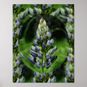 Poster Lovely Lupine Abstrait Floral Art