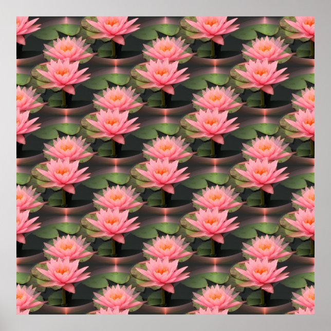 Poster Lovin' Lilies.... (Devant)