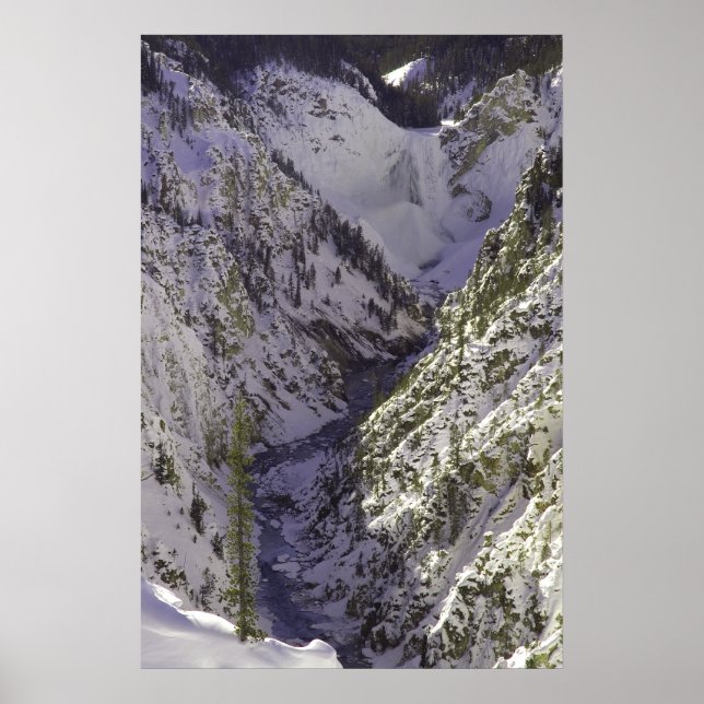 Poster Lower Falls Grand Canyon du Yellowstone (Devant)